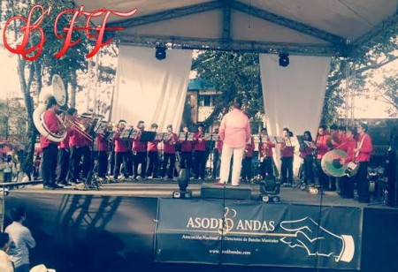 Festival Departemental de Bandas Musicales Villeta-Cundinamarca